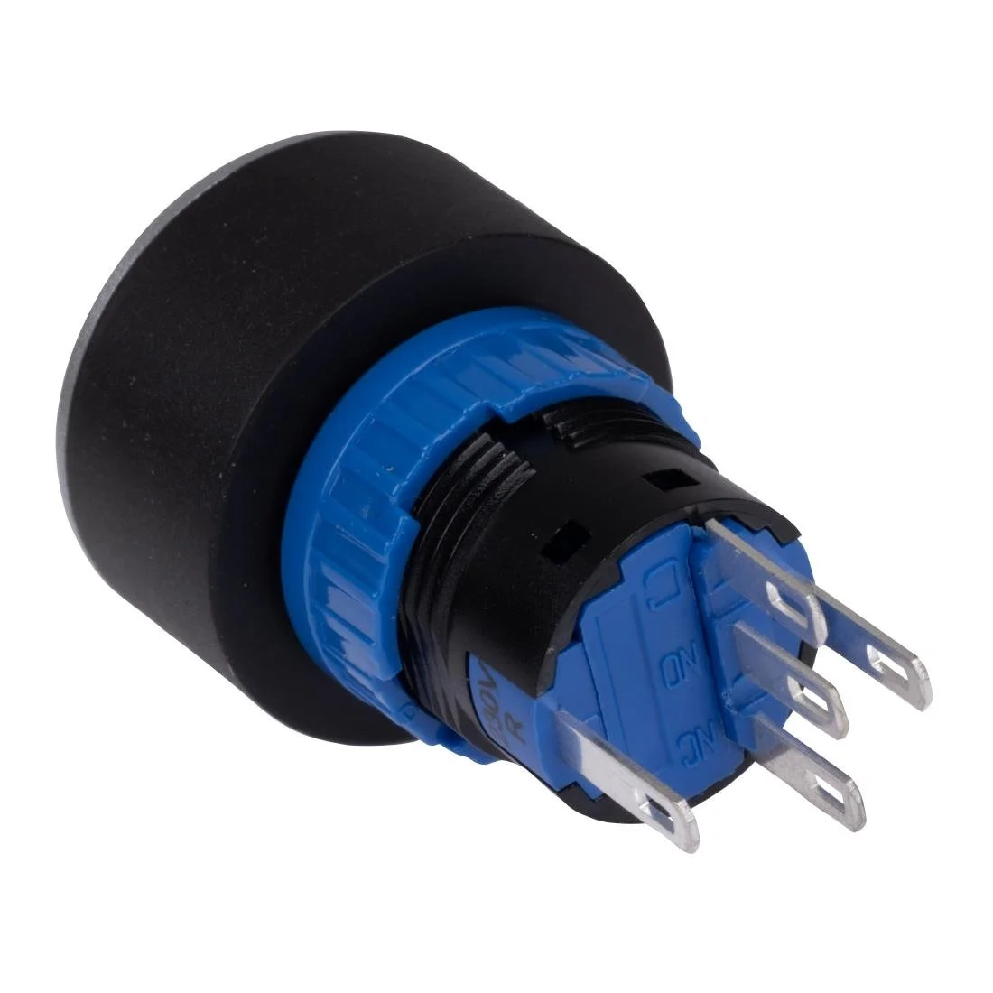 Buffalo Screen - Image 2