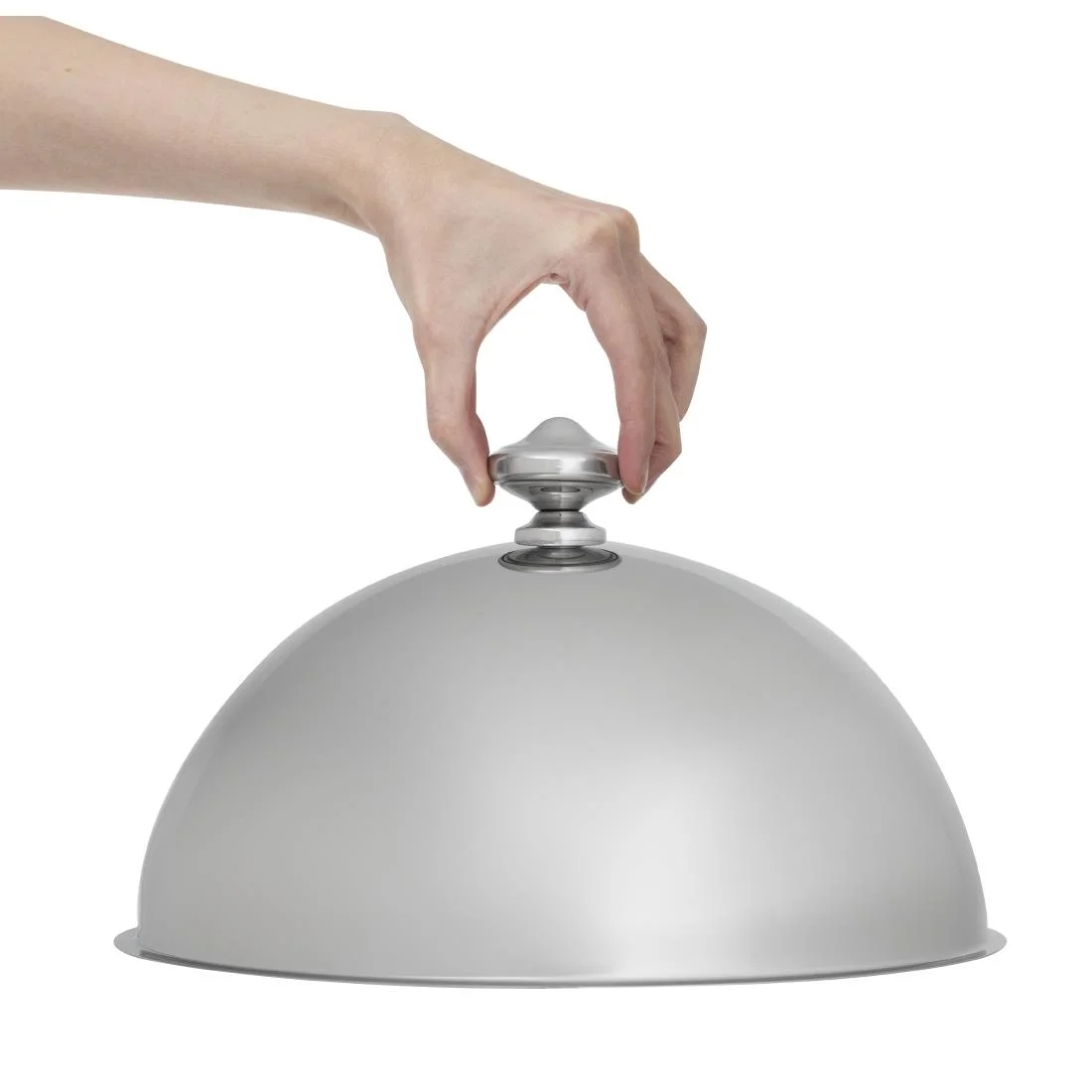 Plate Cloche - Image 7