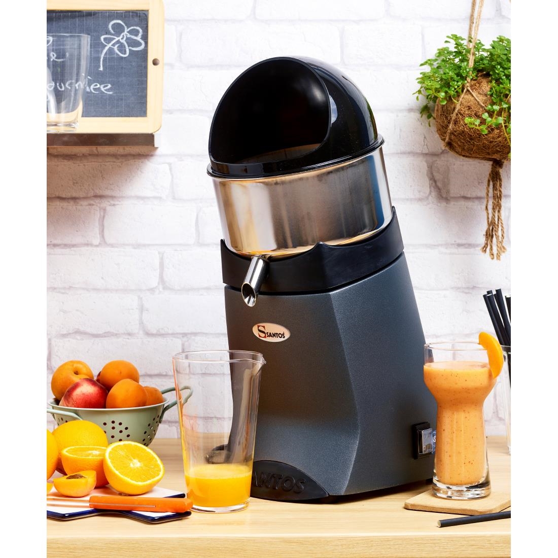 Santos Citrus Juicer Grey 52