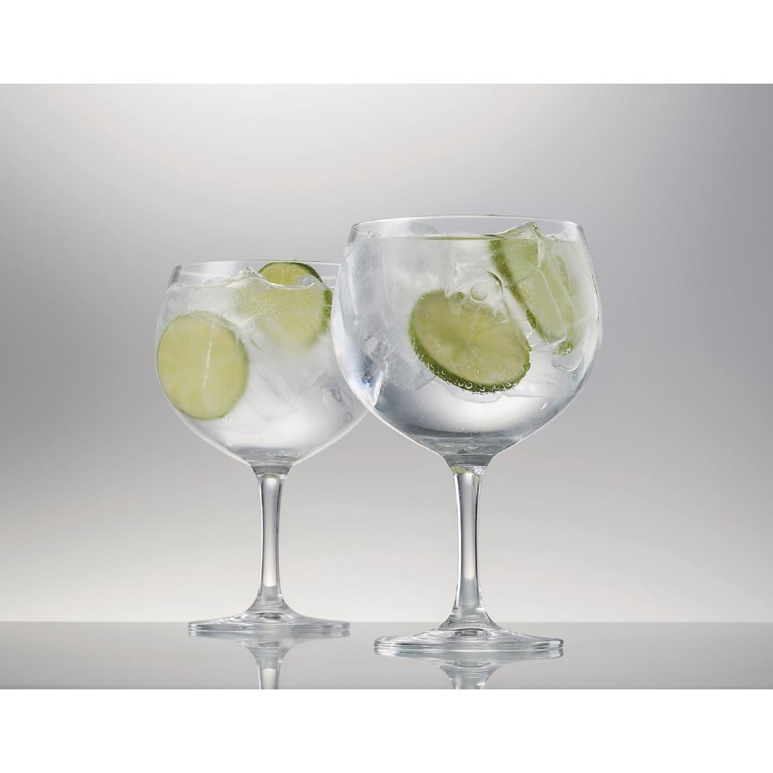 Schott Zweisel Bar Special Spanish Gin & Tonic Glass