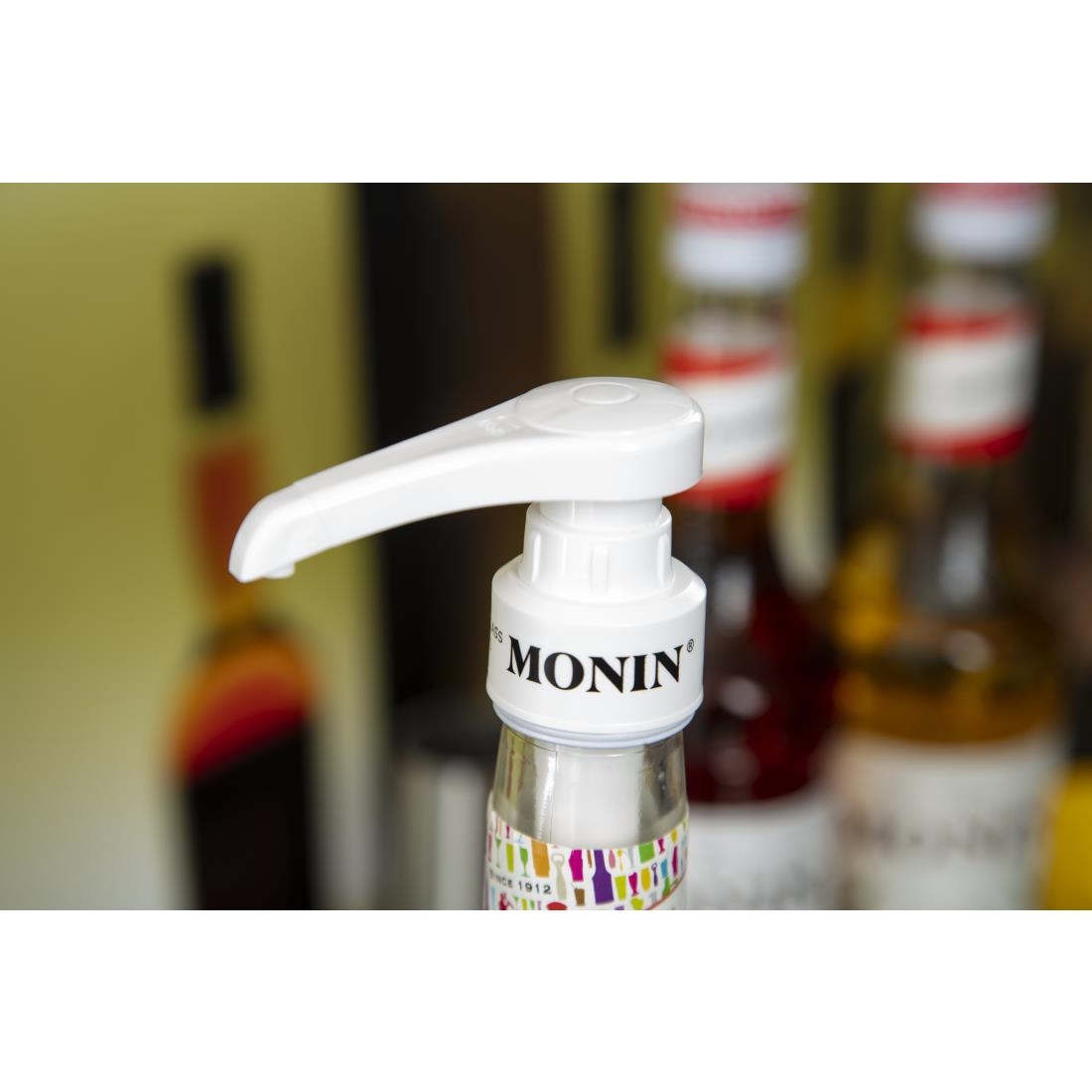Monin Syrup Pump