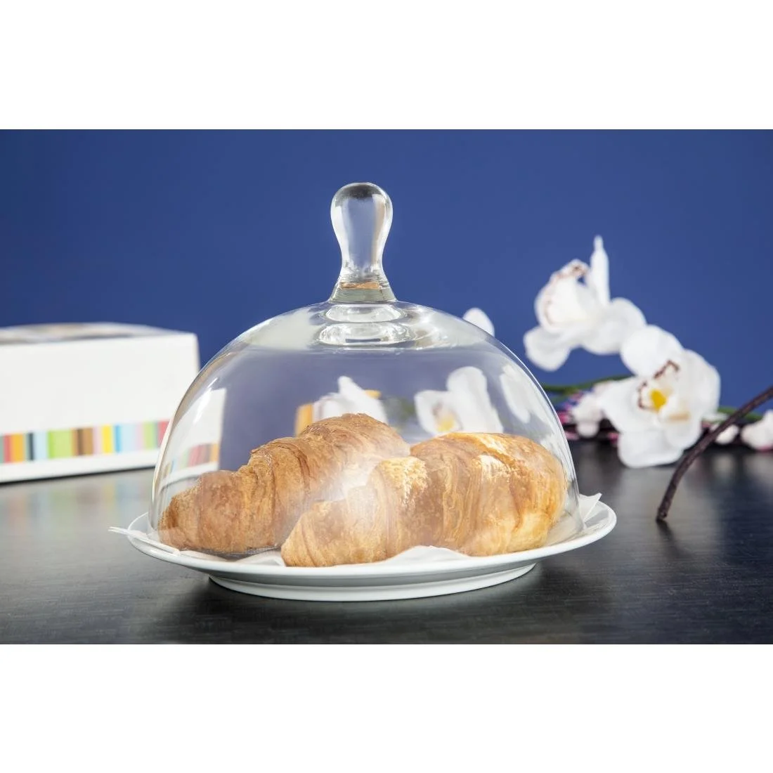 Utopia Glass Cloche - Image 6