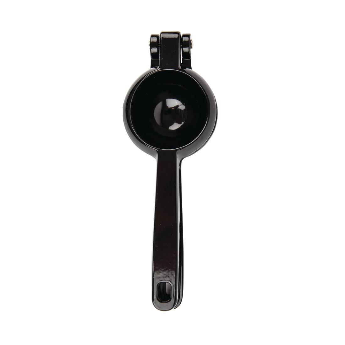 Lemon and Lime Press