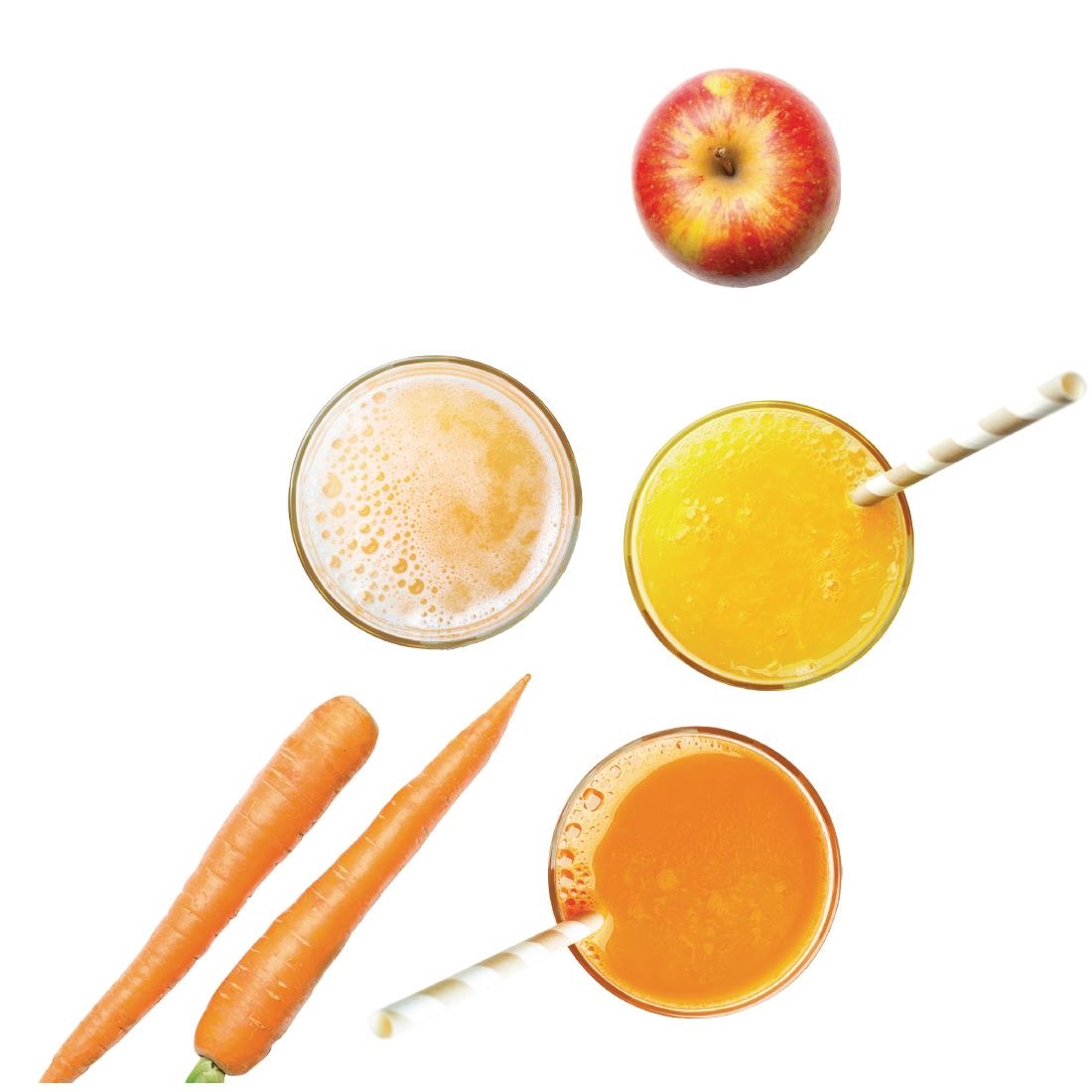 Robot Coupe Automatic Juicer J80 Ultra