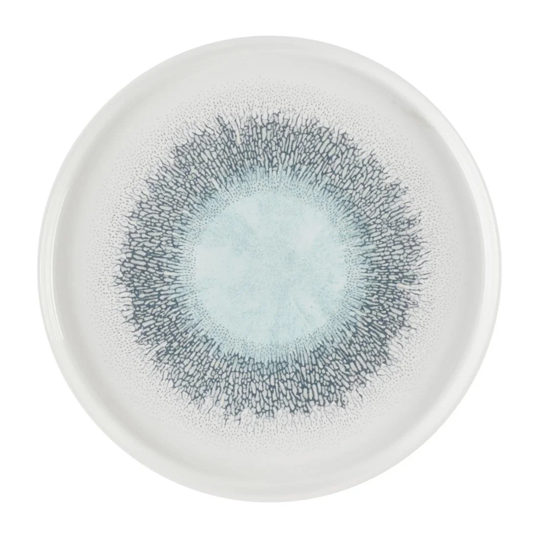 Churchill Studio Prints Fusion Aquamarine Chefs' Walled Plates 260mm (6 Pack)