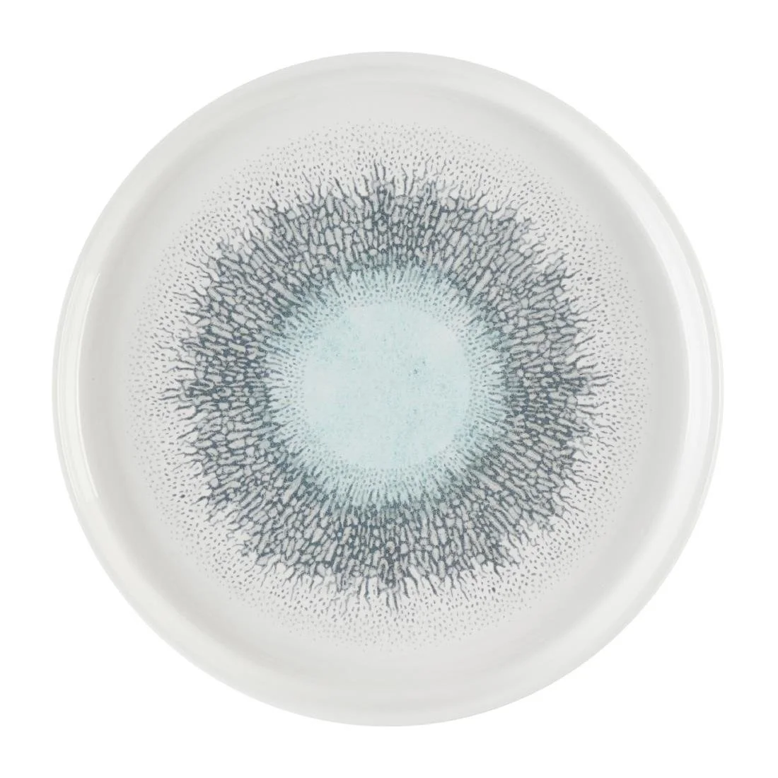 Churchill Studio Prints Fusion Aquamarine Chefs' Walled Plates 210mm (6 Pack)