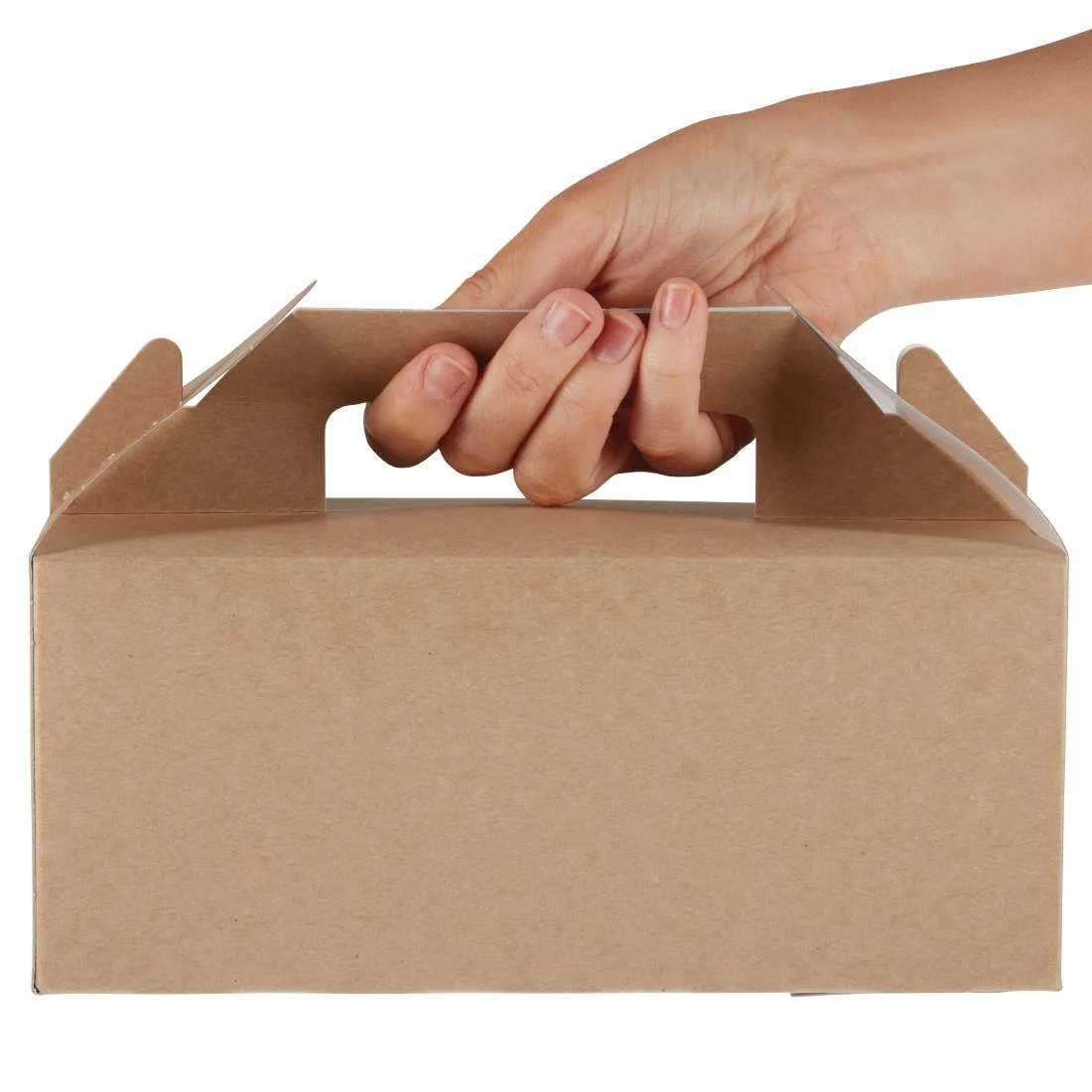 Colpac Recyclable Kraft Gable Boxes (125 Pack) - Image 4