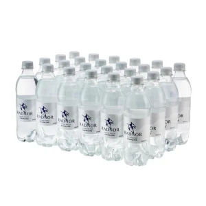 Radnor Hills Sparkling Water 500ml (24 Pack)