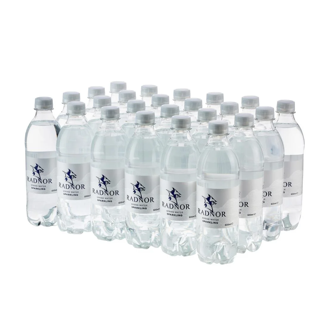 Radnor Hills Sparkling Water 500ml (24 Pack)