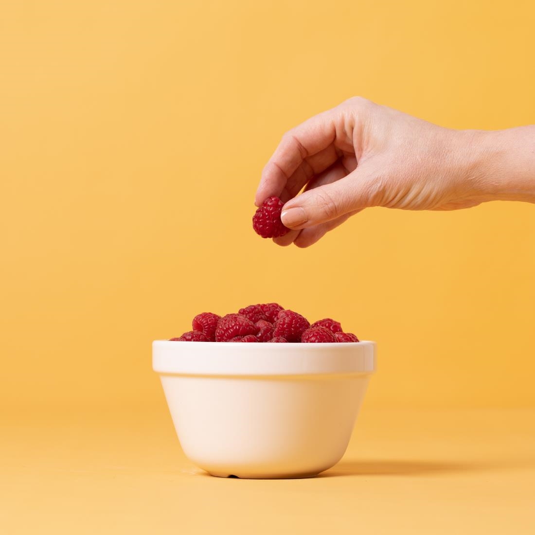 Mason Cash Pudding Basin 0.65ltr