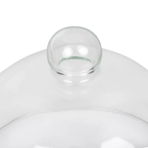 Glass Cloche 210mm
