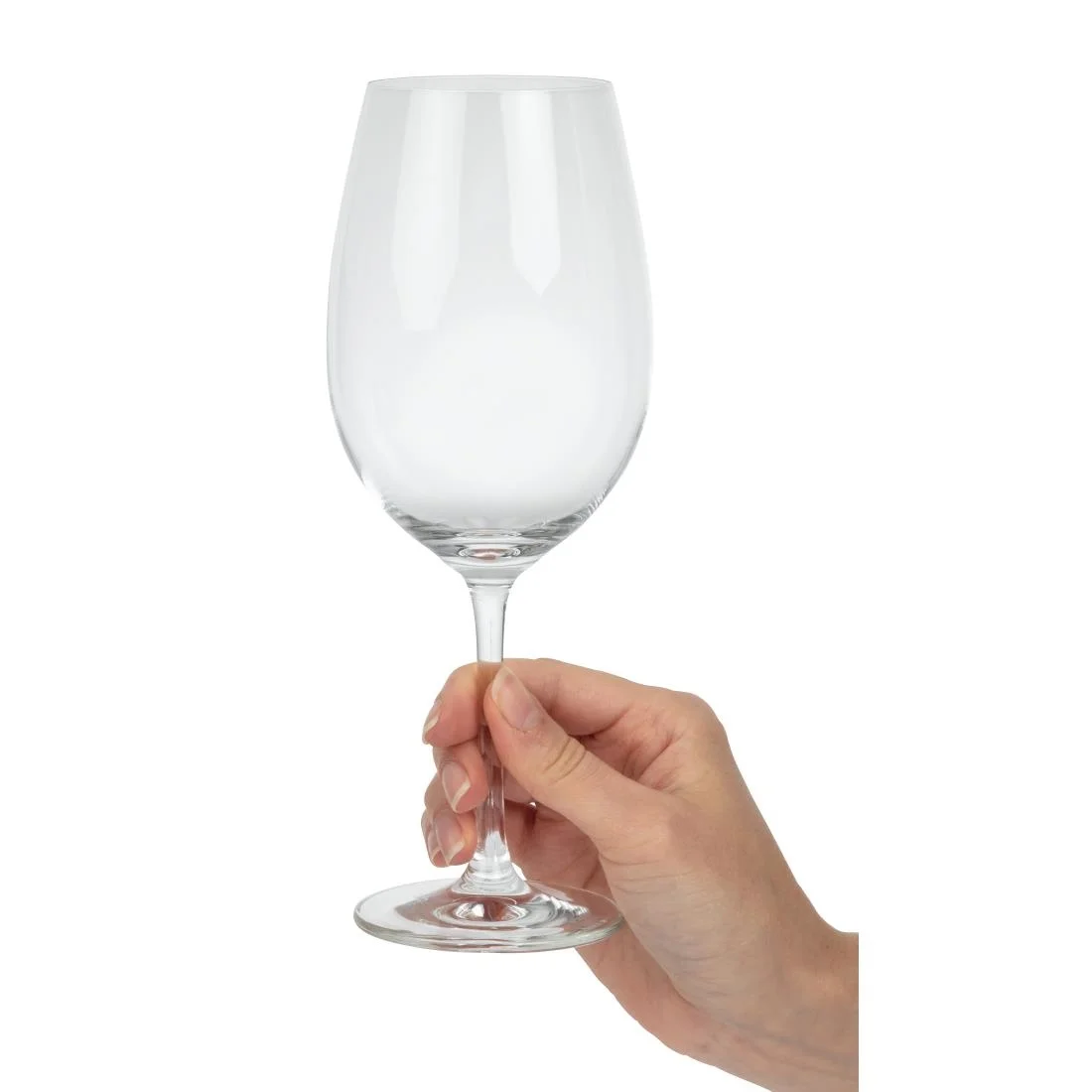 Schott Zwiesel Ivento Red Wine glass 480ml - Image 6