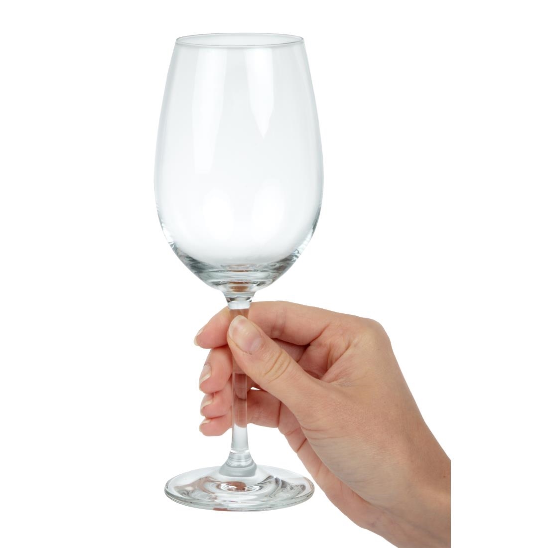 Schott Zwiesel Ivento White Wine glass 340ml
