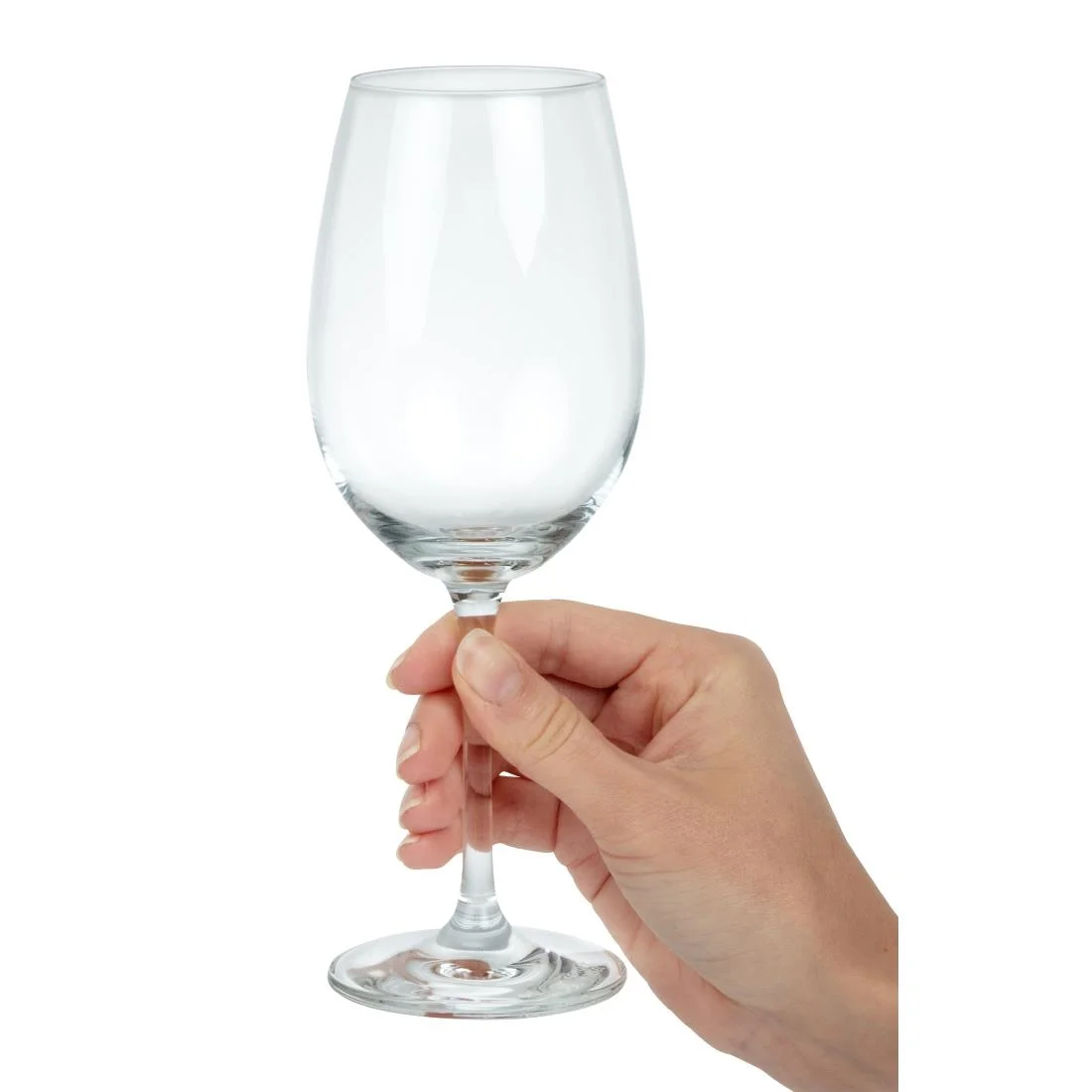 Schott Zwiesel Ivento White Wine glass 340ml - Image 6
