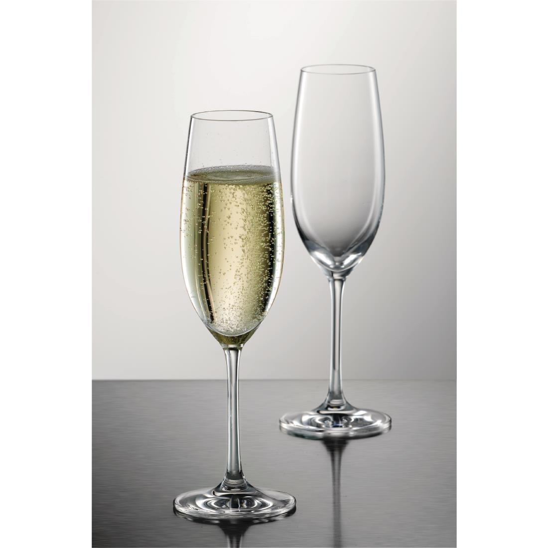 Schott Zwiesel Ivento Champagne flute 230ml
