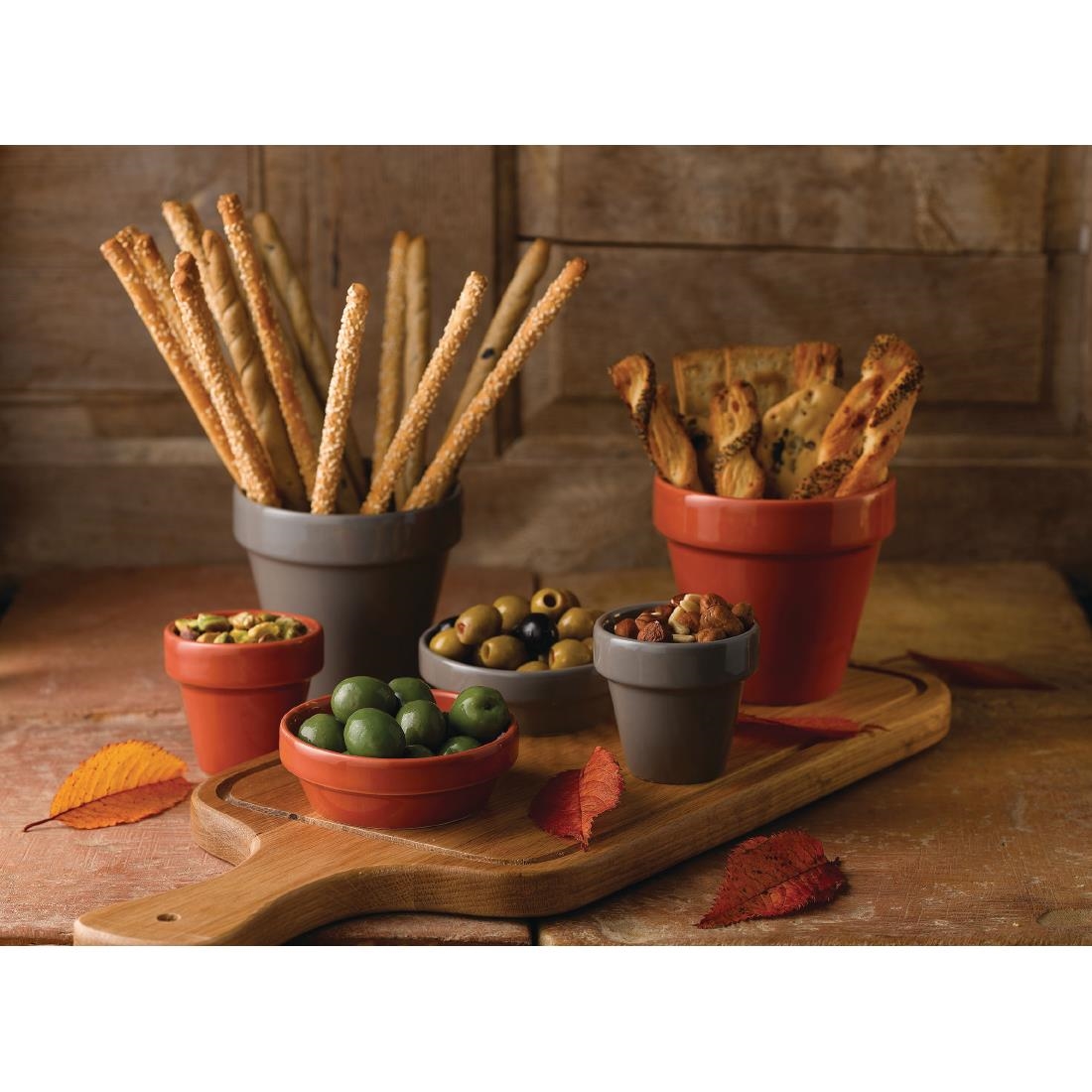 Churchill Bit On The Side Plant Pot Paprika 17oz