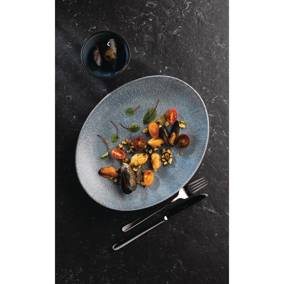 Churchill Studio Prints Raku Oval Coupe Plates Topaz Blue 270mm