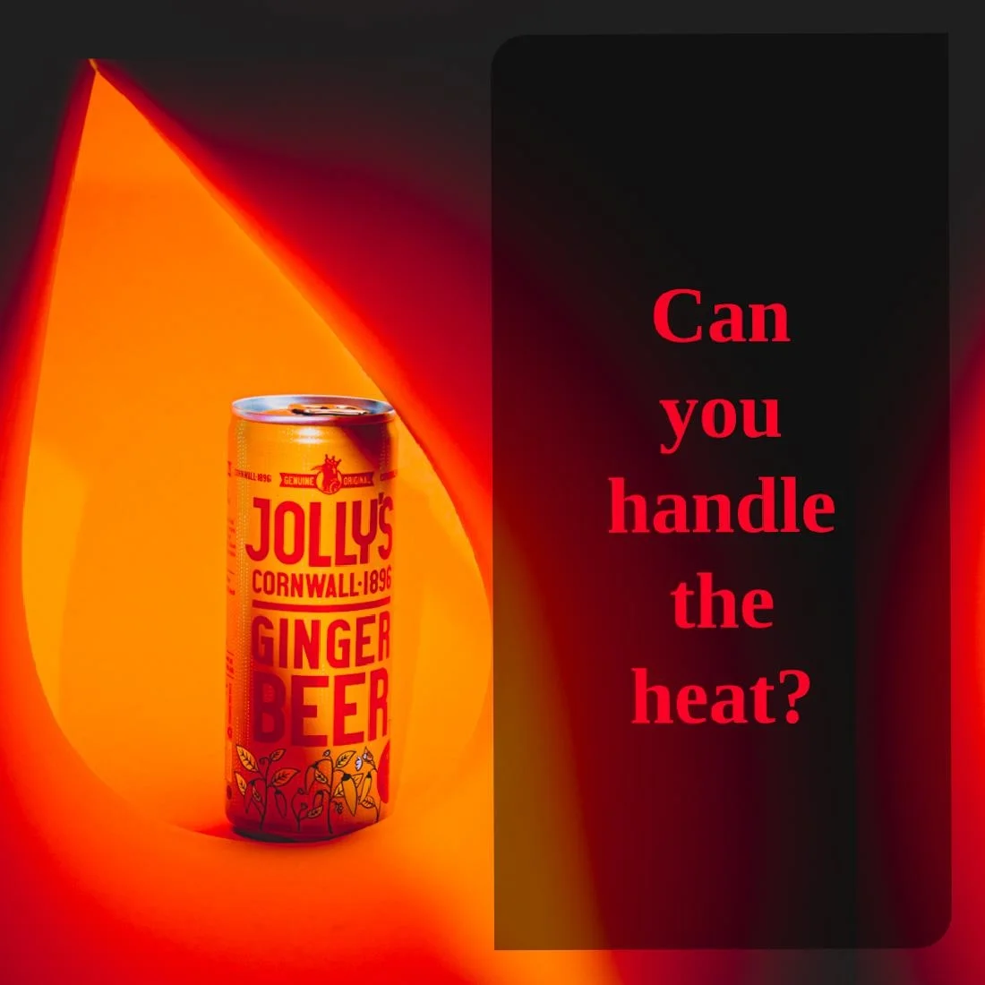 Jolly's Cornish Ginger Beer Cans 250ml (24 Pack) - Image 9