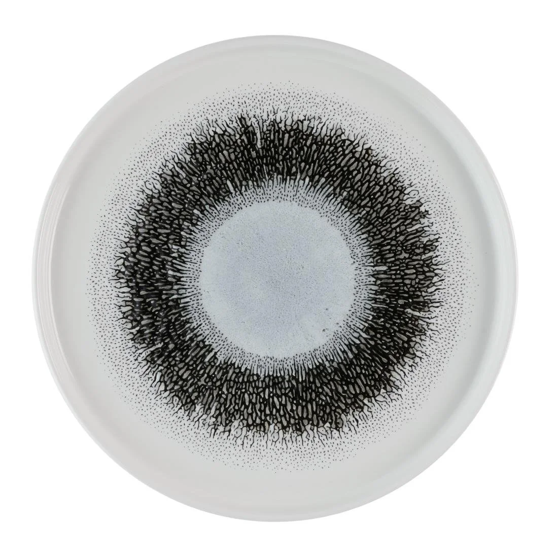 Churchill Studio Prints Fusion Black Walled Plates 260mm (6 Pack)