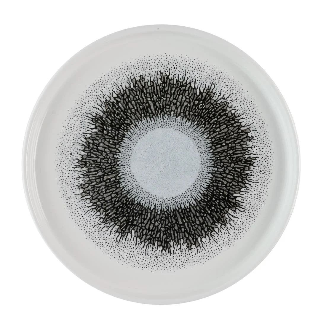 Churchill Studio Prints Fusion Black Walled Plates 210mm (6 Pack)