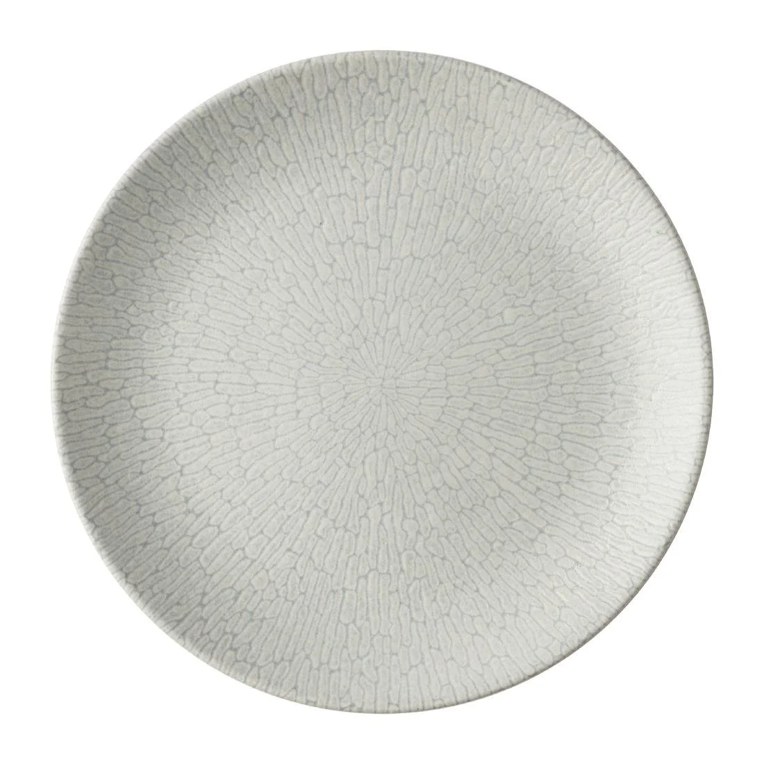Churchill Delta Grey Evolve Plates 260mm (12 Pack)