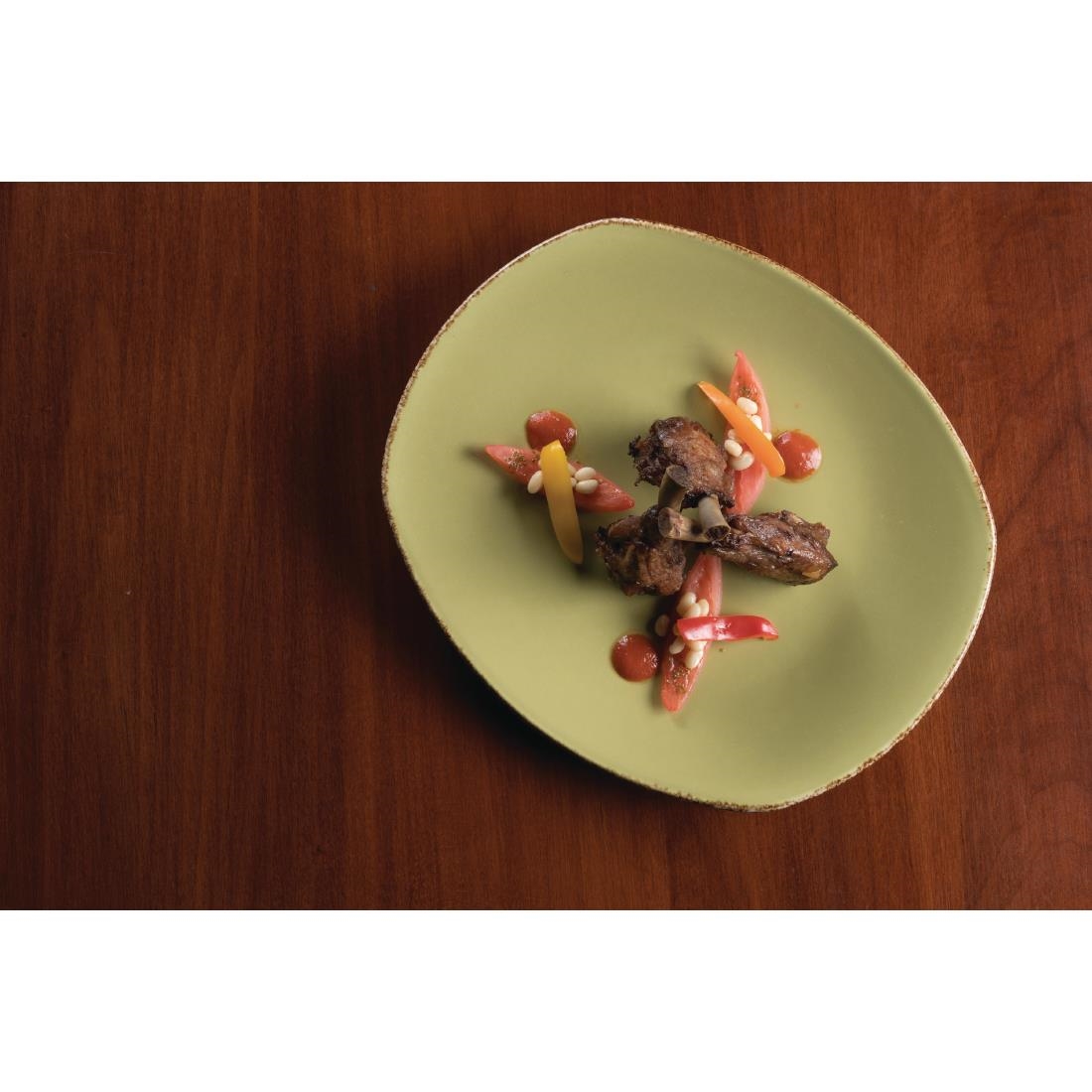 Steelite Terramesa Olive Spice Plates 202mm