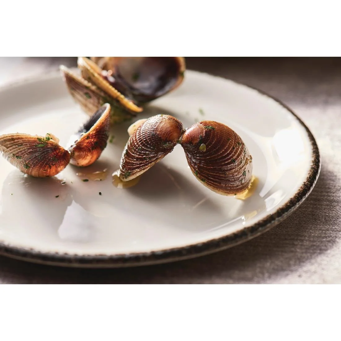 Steelite Charcoal Dapple Coupe Plates 202mm (24 Pack) - Image 5