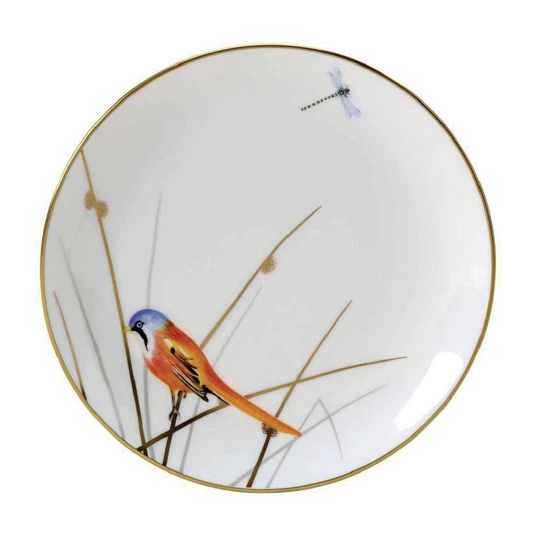 William Edwards Reed Plates Coupe 165 (12 Pack)