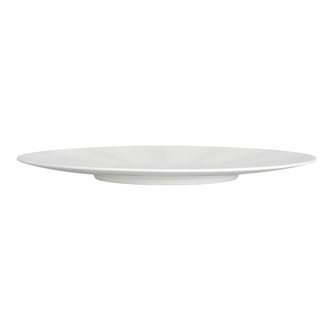 William Edwards Quill Snipe Plates 310mm (6 Pack) - Image 3